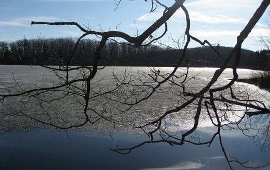 ������� ���� � ������� ����������