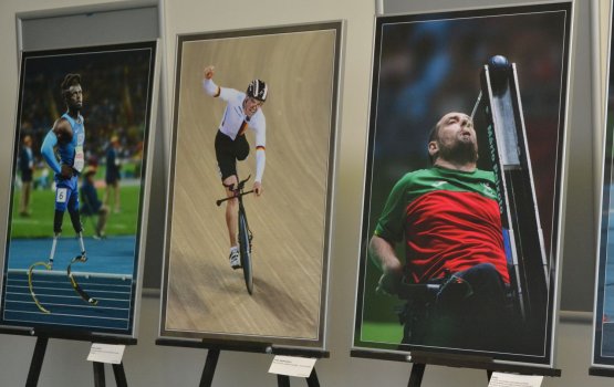 ��� ������� �����