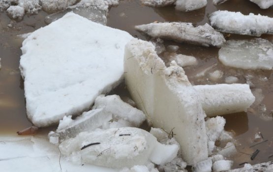 ��������: � ����������� ������� �������