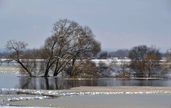 ���������� ���� ������ �� ������: ��� � ������� �����