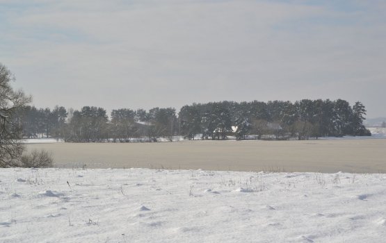 ���������� ���� ������ �� ������: ��� � ������� �����