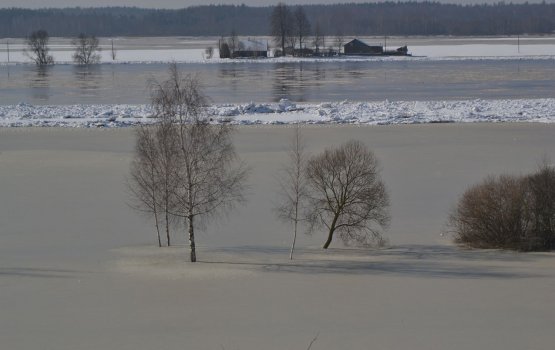 ���������� ���� ������ �� ������: ��� � ������� �����