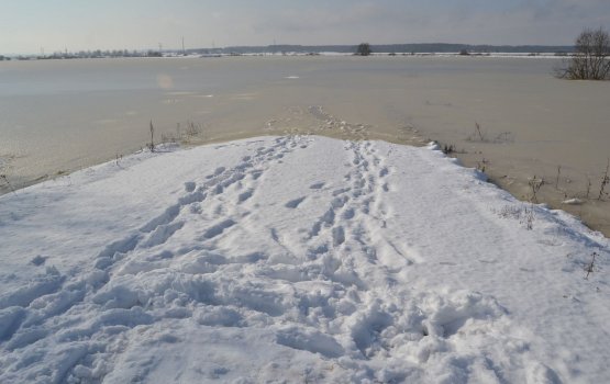 ���������� ���� ������ �� ������: ��� � ������� �����