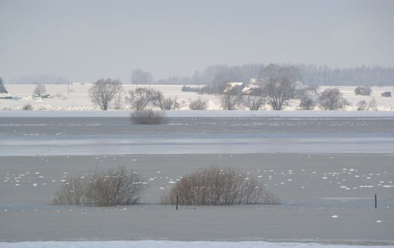 ���������� ���� ������ �� ������: ��� � ������� �����