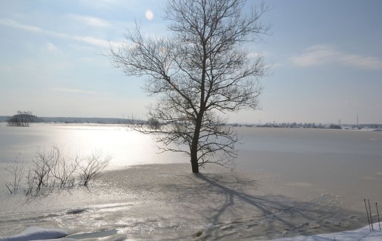 ���������� ���� ������ �� ������: ��� � ������� �����