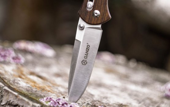 �� �������� ������� ��������� �����