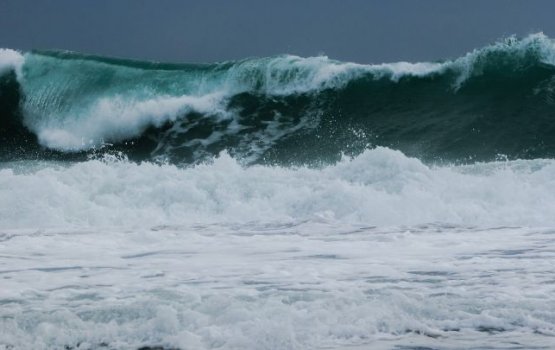 � ����� �������� ������ ����� ����� �����