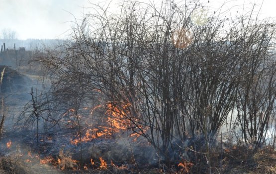 � ������ ���������������� ����������� ����� �����