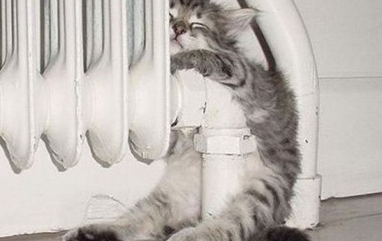 ��������� ������������� ������ ������� �� ������