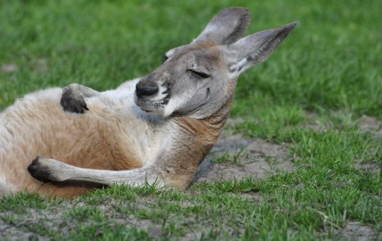 ������ � �������� �������� ������� �������, ����� ��������� �� �������