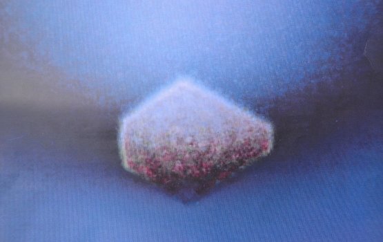 �������� ������������ �������� (��������� �����!)