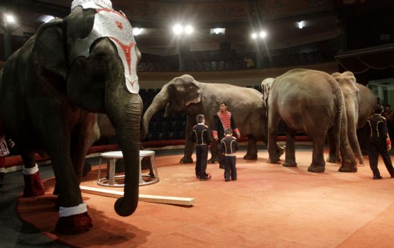 LTV7: �� ��������� � ������� ����� � �������� ������� �������� �����