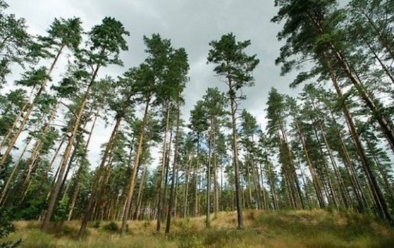 �� ������ ���������� ������ ���������� ������������� ���