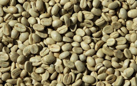 ����� ����� ���������� � ������ ������� ����� ������������� �������� ����