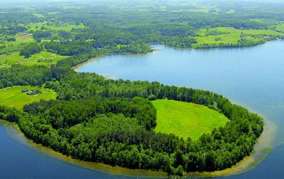 ���� �� ������ ���������?