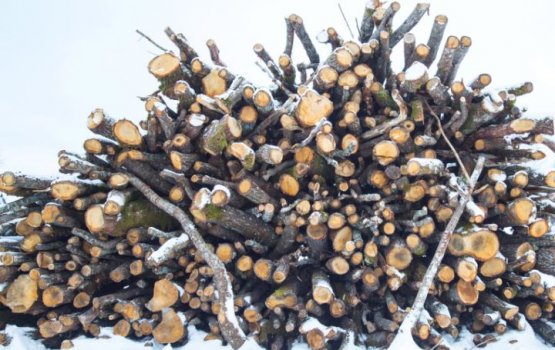 ������: ������ ������� ������� ��������� ���� �� ���������� ��������������