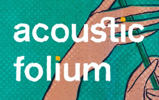 Acoustic Folium #29     