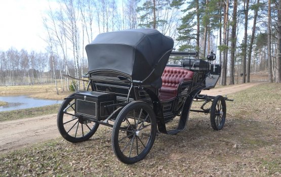 ��� �����: ��������� ���� � ����