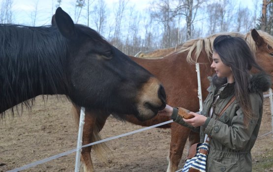 ��� �����: ��������� ���� � ����