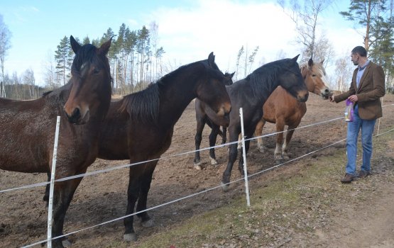 ��� �����: ��������� ���� � ����