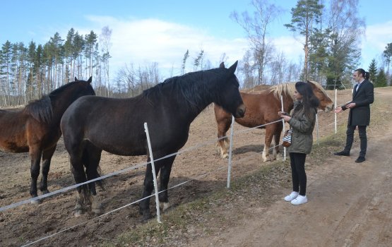 ��� �����: ��������� ���� � ����