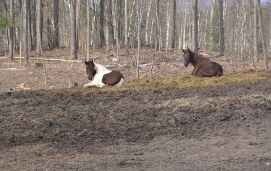 ��� �����: ��������� ���� � ����