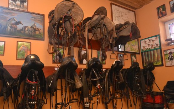 ��� �����: ��������� ���� � ����