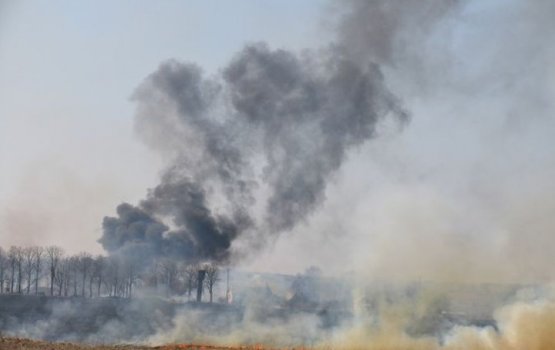 В Латвии побит рекорд по числу пожаров прошлогодней травы