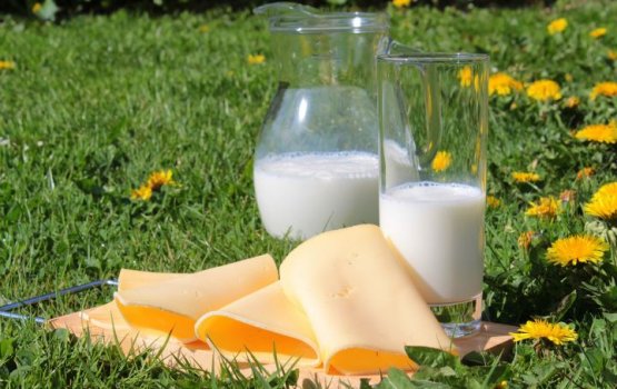 Ученые: отказ от молочных продуктов может спасти здоровье