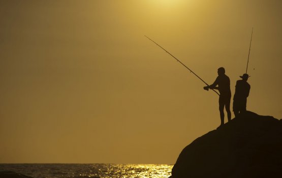 ��������� ������������ �� ������� � ������ (������-���)