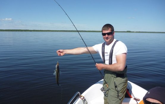 ��������� ������������ �� ������� � ������ (������-���)