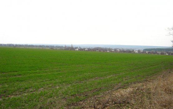 "������������ C���": � ���� ���� �������� ����� 3-5% ������