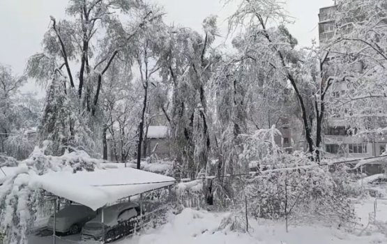 ����������! ������� ��������� � �������� � ����� ������