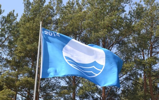 � ���� ���� ����� ����� ����� ������� � 21 �����