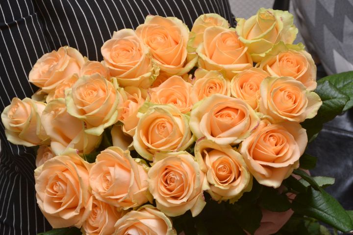 ������ �������� ��������� ���������� �����