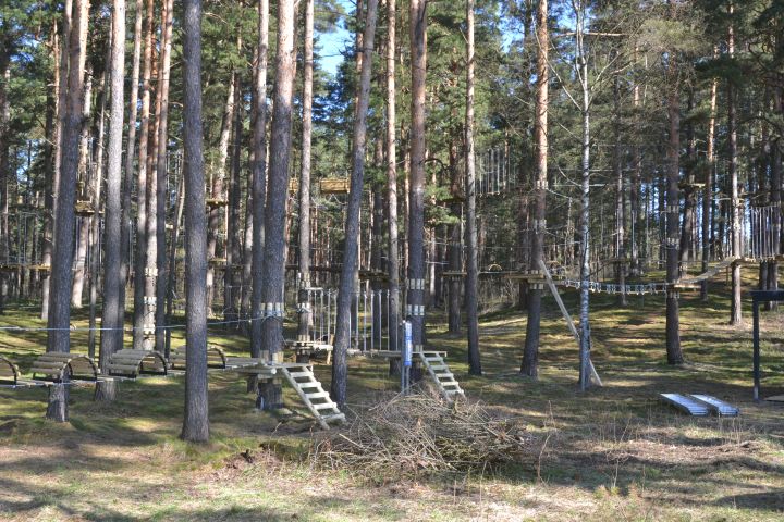 На этой неделе начнет работу парк «Тарзан»