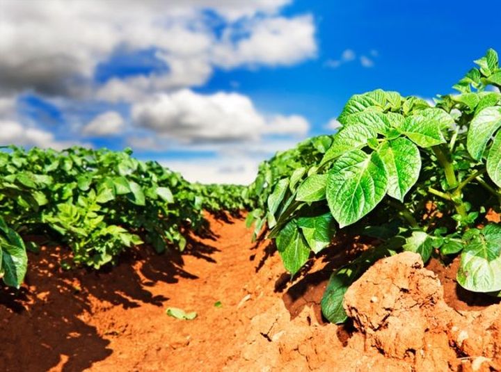 ������ �����������: ��� ��������� ������� ���������