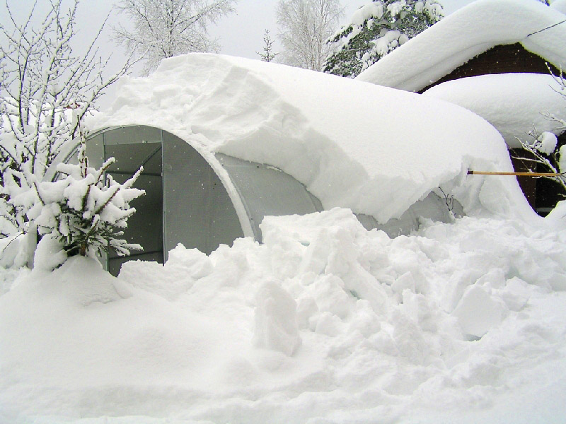 ������ �� precesdarbam.lv ������� ���� ����� �������, ����� � ��������