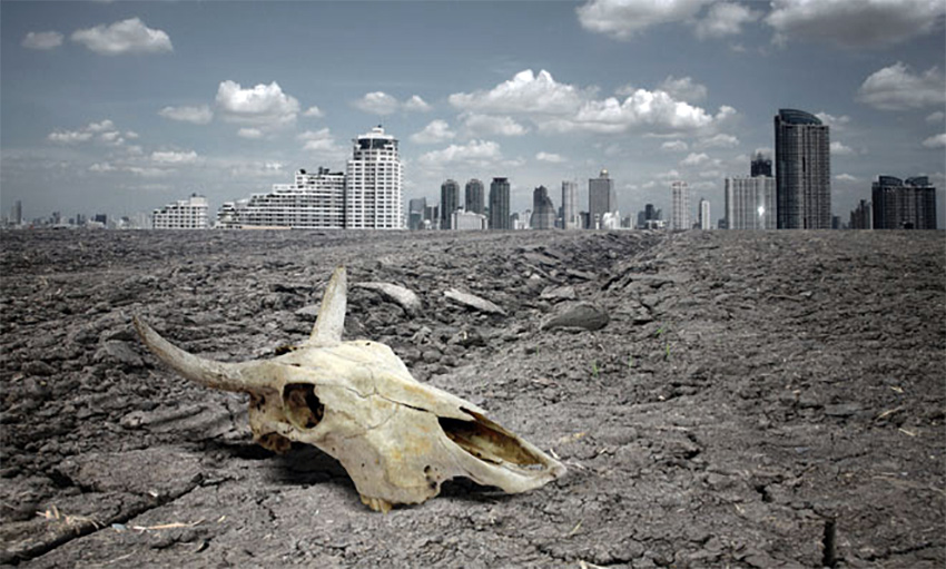 ��������  ������ ���������