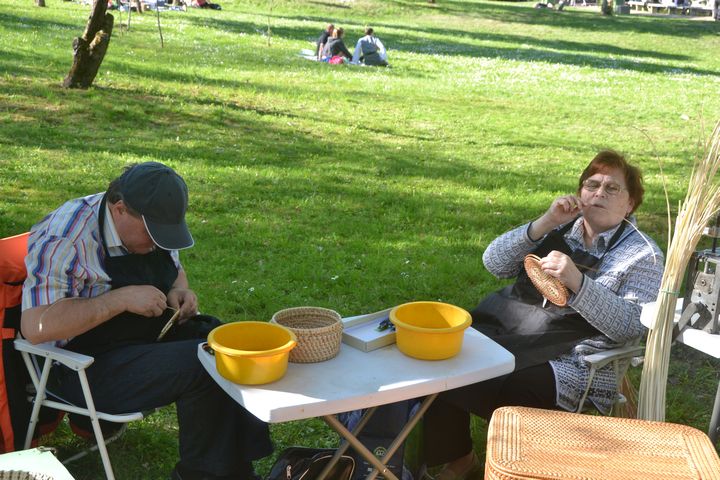 ����������� �������� ��������: ������������, �����������, ���� � ������