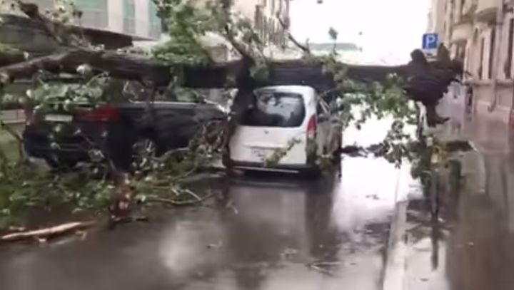 ������ � ������: ������� 11 �������, 150 � ���������