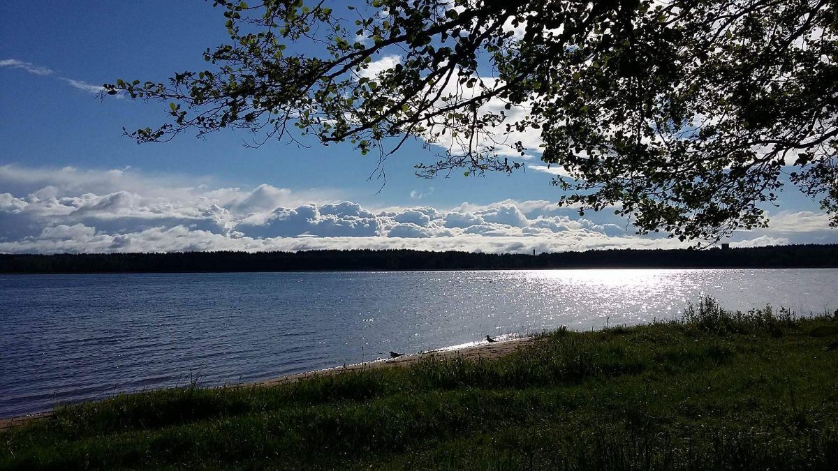 ��������: ��� ������������� ���� ������ � �������