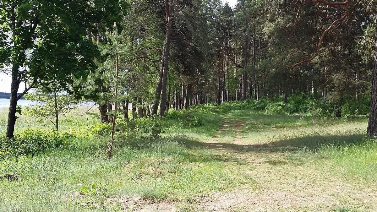 ��������: ��� ������������� ���� ������ � �������