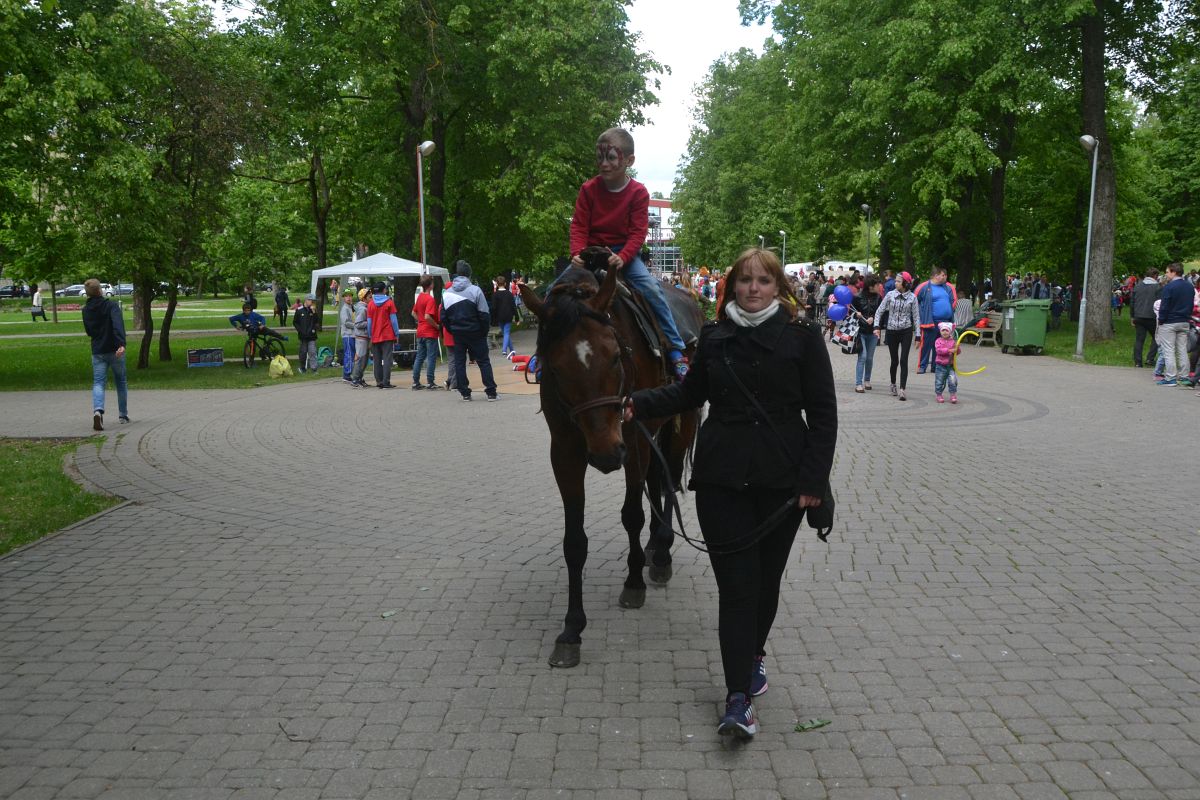 ���� ������ ����� �������� �������� ���������� � �����