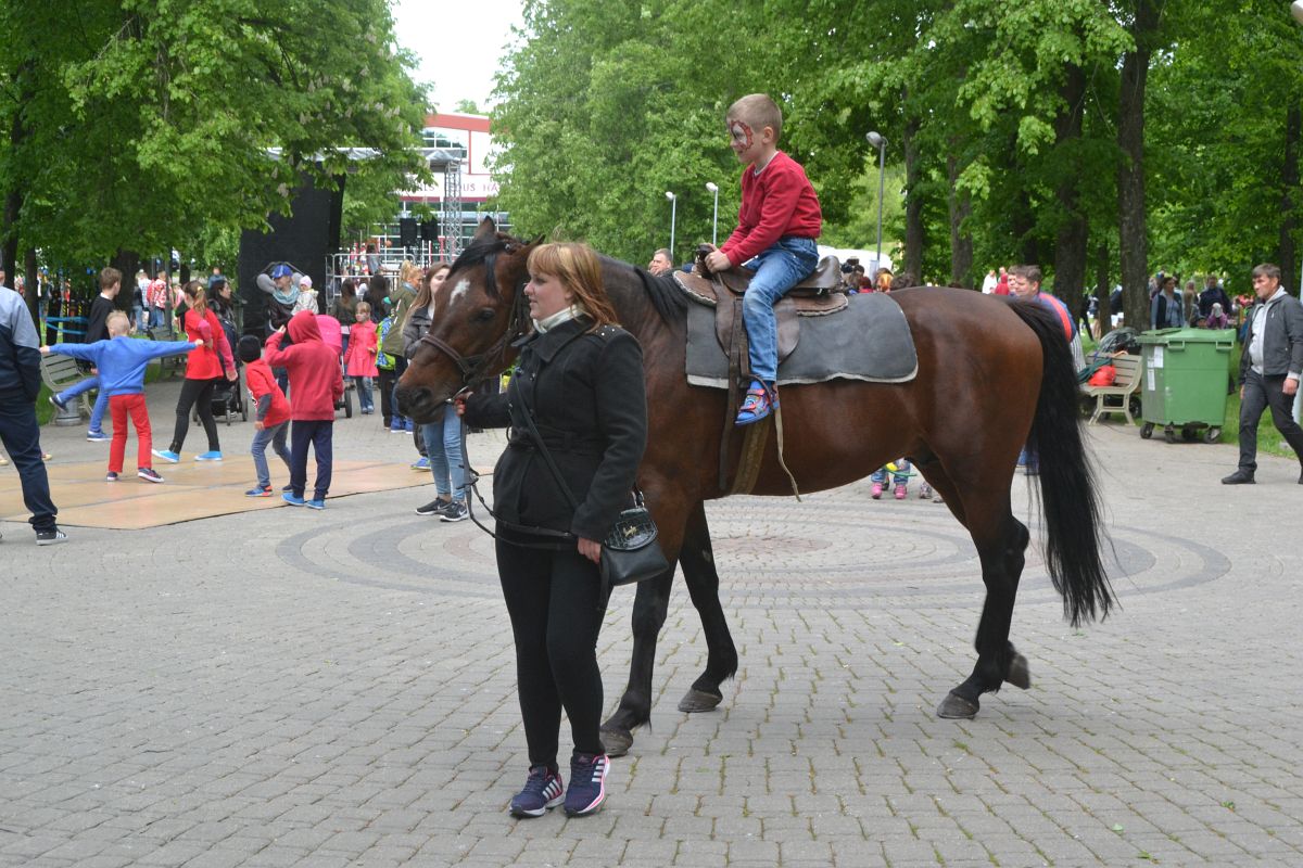 ���� ������ ����� �������� �������� ���������� � �����