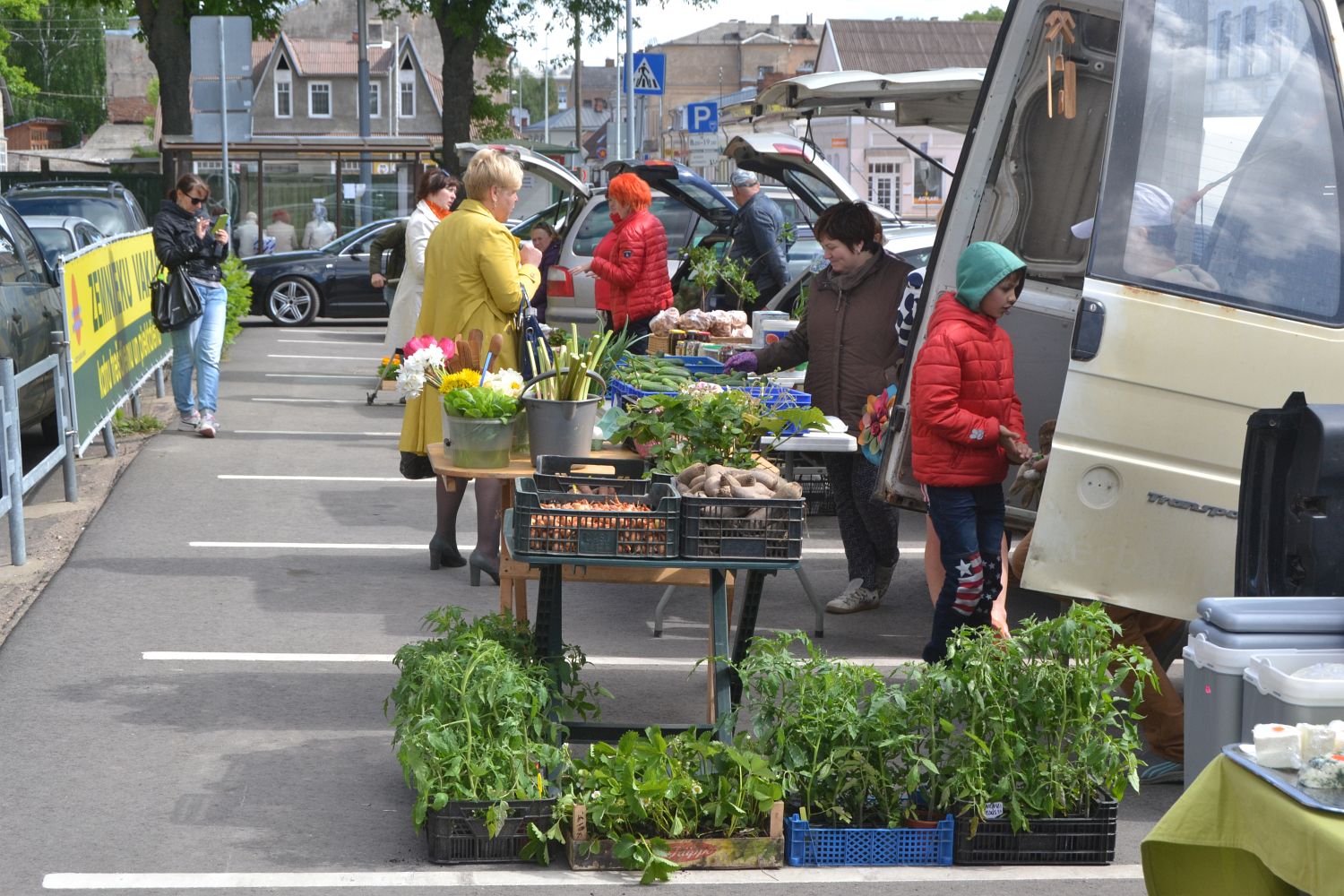 ����������� ������������ ��������� ����� ������� ������