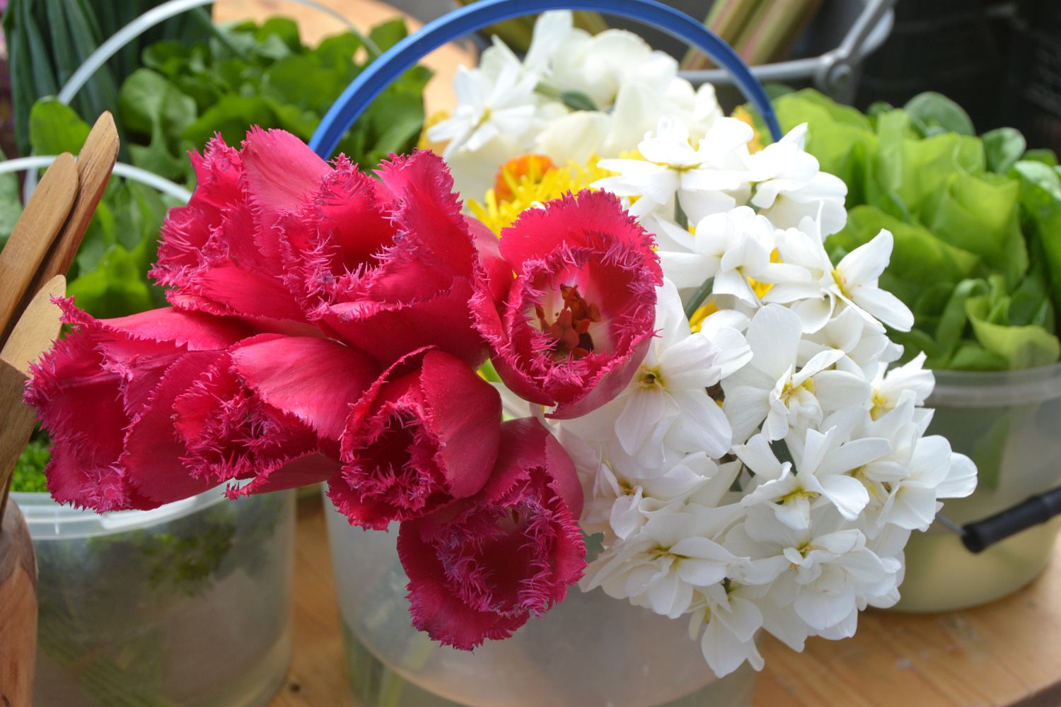 ����������� ������������ ��������� ����� ������� ������