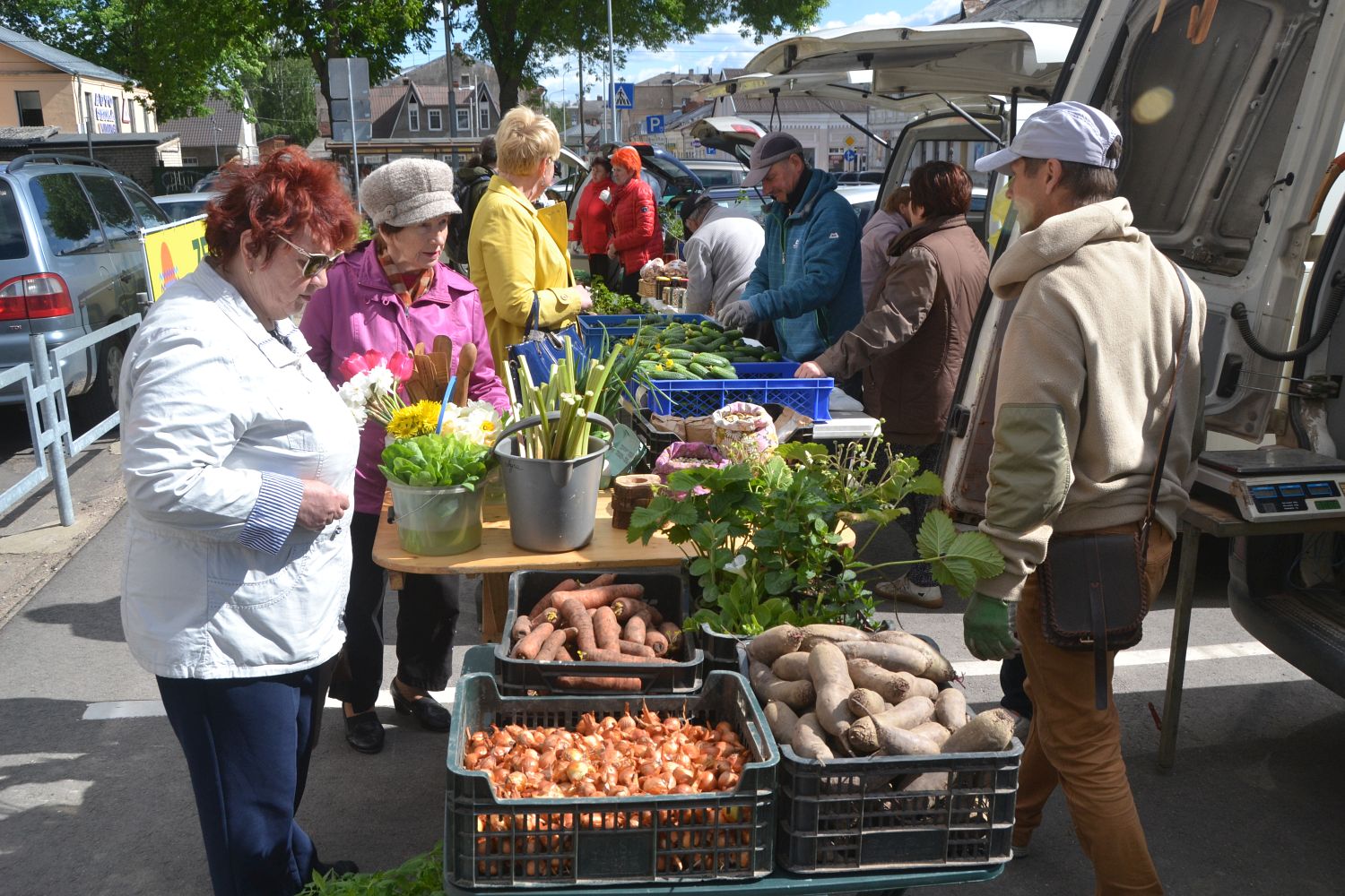 ����������� ������������ ��������� ����� ������� ������