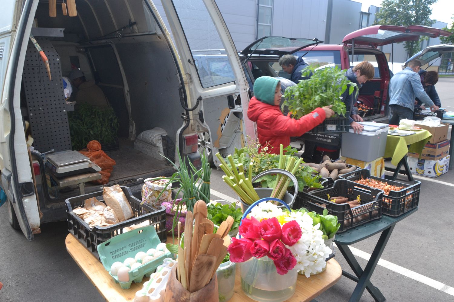 ����������� ������������ ��������� ����� ������� ������