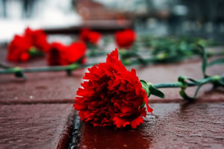 14 ���� �������� ����� ����������������� ��������